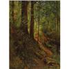Image 1 : D. HOWARD HITCHCOCK (American), Forest Scene
