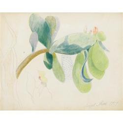 JOSEPH STELLA (1877-1946)