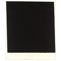 Ellsworth Kelly (American b. 1923) Wall ,