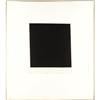 Image 4 : Ellsworth Kelly (American b. 1923) Wall ,