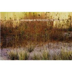 Eliot Porter (American 1901-1990) Glen Canyon