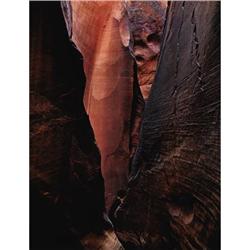 Eliot Porter (American 1901-1990) Glen Canyon