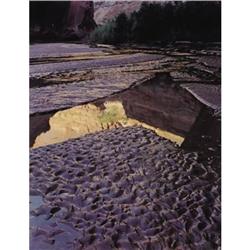 Eliot Porter (American 1901-1990) Glen Canyon