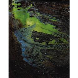 Eliot Porter (American 1901-1990) Glen Canyon