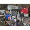 Image 2 : Buffalo Press Drill 110v (tested)