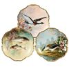 Image 1 : Three Hand Painted Limoges Plates.