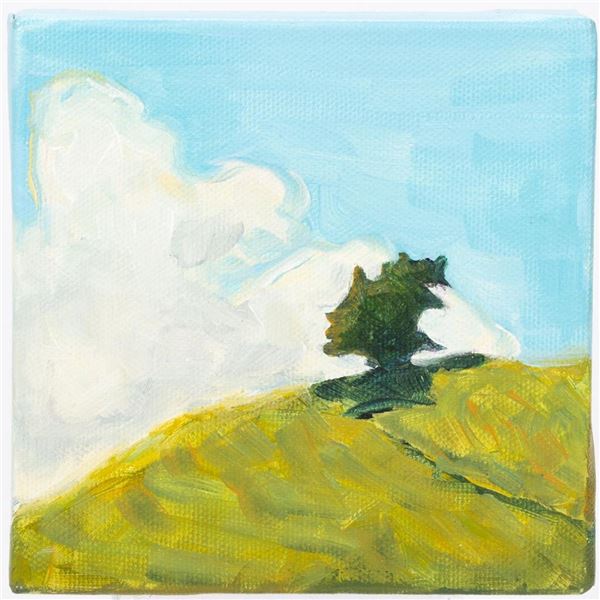 Lianna Steinmetz (American)