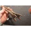 Image 2 : MECHANICS VALVE TOOL ANTIQUE