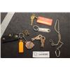 Image 1 : CHRYSLER FOB / KEYS / LANDYARD ETC