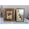 Image 1 : 2 Framed Flower Prints