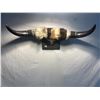 Image 1 : Horns aprox 23 inches long
