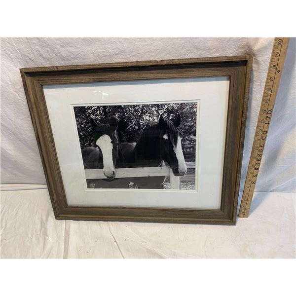 Horse picture (2) one has broken glass