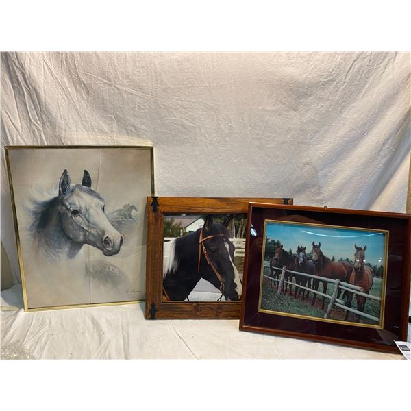 3 horse pictures one cracked glass