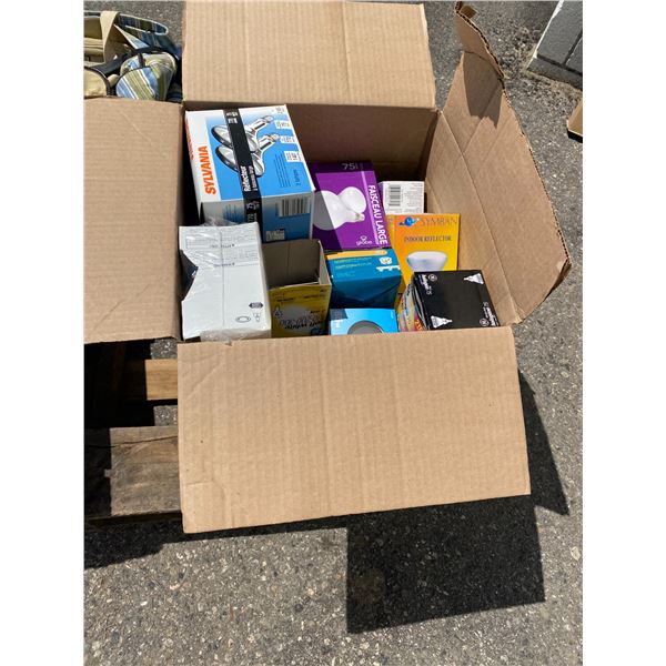 Box assorted light bulbs