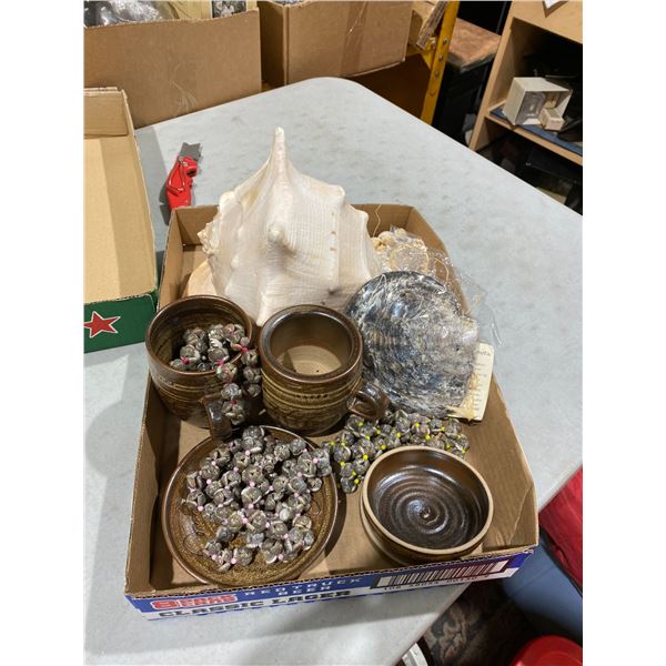 Lot of pottery and shells