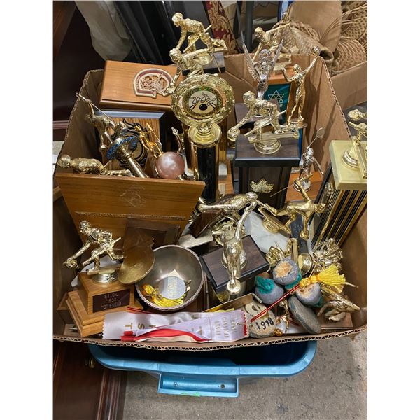 Lot trophies