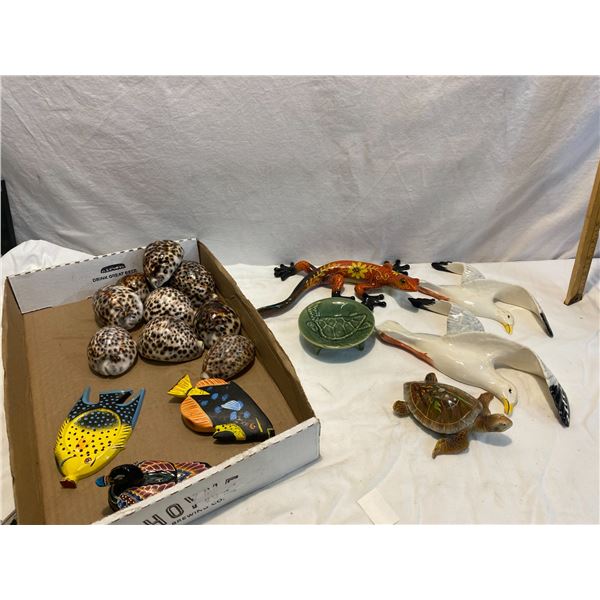 Lot turtles and shells etc