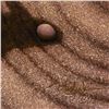 Image 2 : Terry Gilecki, "Migrate" Limited Edition on Gallery Wrapped Canvas, PP Numbered 3/20 and Hand Signed