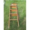 Image 1 : BUNK BED LADDERS