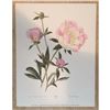 Image 1 : Limited Edition Print, Peonies with Ants