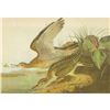 Image 1 : c1946 Audubon Print, #303 Upland Plover