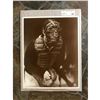 Image 2 : Baseball Catcher Sepia Photo Print
