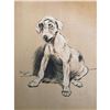 Image 1 : Early 1900's Lithograph, A Dog Day