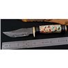 Image 1 : Custom Damascus Steel Hunting Knife
