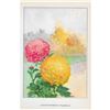Image 2 : 1920's Chrysanthemum Color Lithograph Print