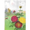 Image 1 : 1920's Dahlia Color Lithograph Print