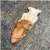 Image 1 : Archaic Native American Arrowhead Display Point