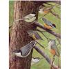 Image 1 : 1936 Pearson Birds, Chickadee, Nuthatch