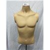 Image 2 : Male Torso Mannequin on Stand with Cast Base