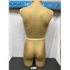 Image 2 : Male Torso Mannequin Table Top Display