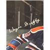 Image 2 : Vintage Framed Wayne Gretzky Poster 21 x19
