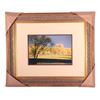 Image 1 : Sunny Pasture Photo by HFC 1997.