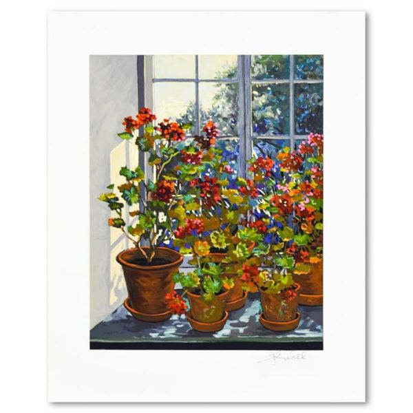 Geranium by Powell, John