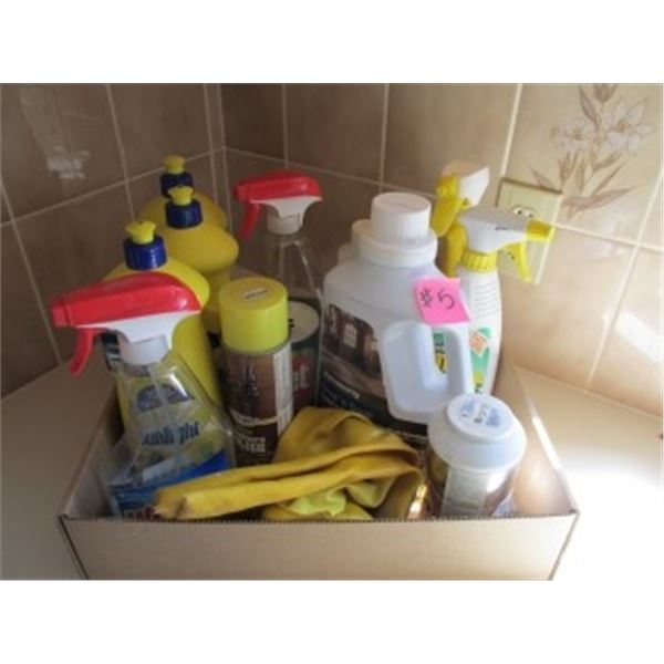 2 BOXES OF CLEANING SUPPLIES