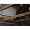 Image 2 : ALL THE  WOOD IN THE RAFTERS
