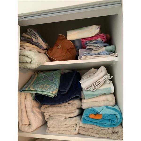 Antique Hudson’s bay 4 point wool blanket cat a