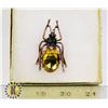 Image 1 : BEETLE RHINESTONE BROOCH
