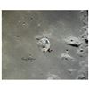 Image 1 : Michael Collins Signed Photograph