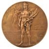 Image 1 : Antwerp 1920 Olympics Bronze Winnerâ€™s Medal