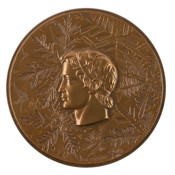 Grenoble 1968 Winter Olympics Bronze Participation Medal