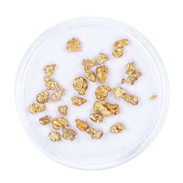 Lot of Gold Nuggets 2.70 Grams Total Weight