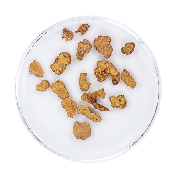 Lot of Gold Nuggets 3.24 Grams Total Weight