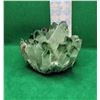 Image 1 : 14)  NATURAL GREEN QUARTZ CRYSTAL MINERAL