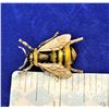 Image 1 : 24)  GOLD TONE AND ENAMEL BUMBLE BEE BROOCH.