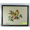 Image 1 : BIRD & FLOWER NEEDLE POINT - PRO FRAMED