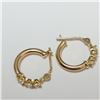 Image 1 : BZ390-112 10K  CZ HOOP EARRINGS